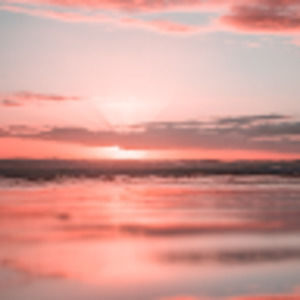 Meet your Posher, Sienna